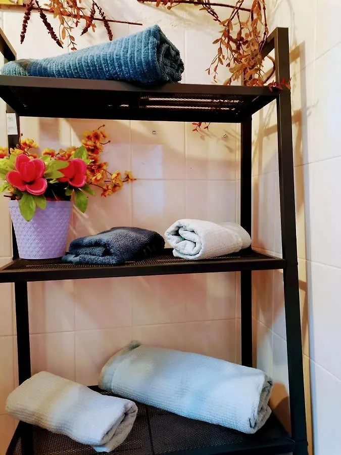 别墅 Country House 索佐波尔
